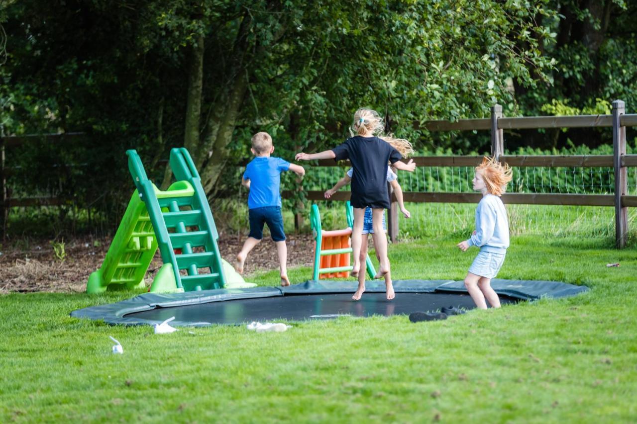 Ter Gracht Bed & Breakfast Wevelgem